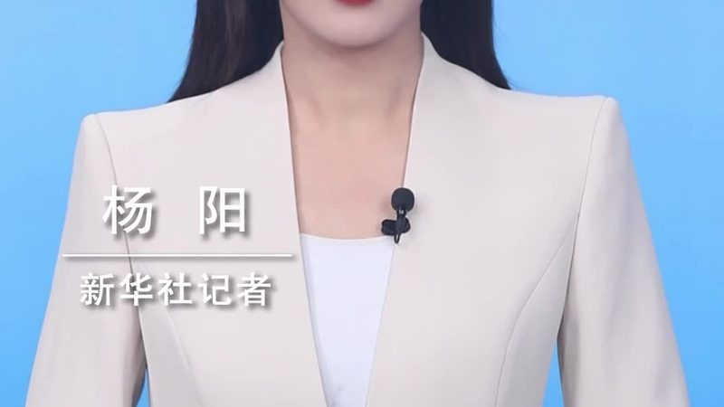 知识图谱图数据库定制开发：构建企业智能化决策基石**